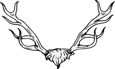 Download Antler Clipart Traceable Png Download Stag Head Heraldry