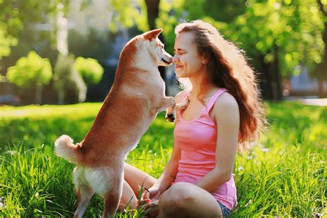 Psychology Of Empathy People Love Pets More Than Humans