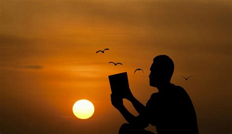 Reading Book Free Stock Photo Public Domain Pictures