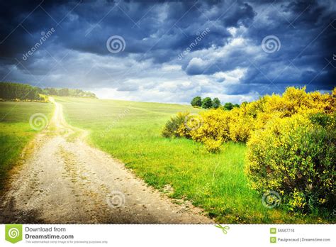 Beautiful Summer Landscape With Country Road Stock Photo