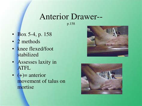 Ppt Ankle And Lower Leg Powerpoint Presentation Free Download Id154031