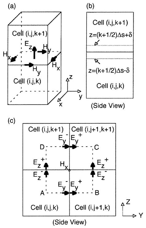 Electric And Magnetic Fields Associated With Two Adjacent Cells That