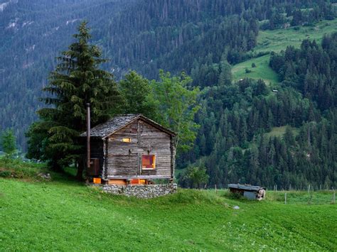 A Tiny Cabin In The Swiss Alps Ignant Tiny Cabin Cabin Swiss Alps