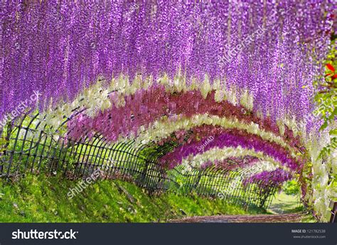 Flower Arch Foto Darchivio 121782538 Shutterstock