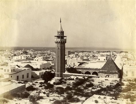Tunisia Tunis Panorama Old Garrigues Photo 1890 By Garrigues