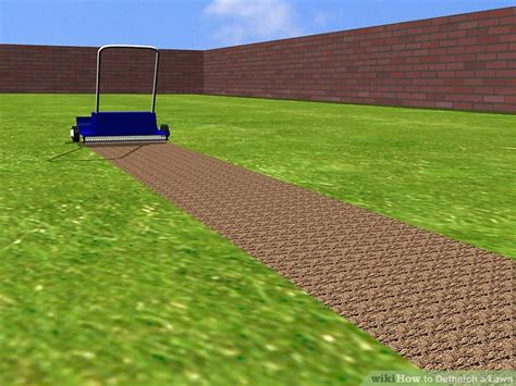 Push the rake tines deeply down dethatching a lawn by means of a core aerator is probably not going to be a yearly task. How to Dethatch a Lawn: 9 Steps (with Pictures) - wikiHow