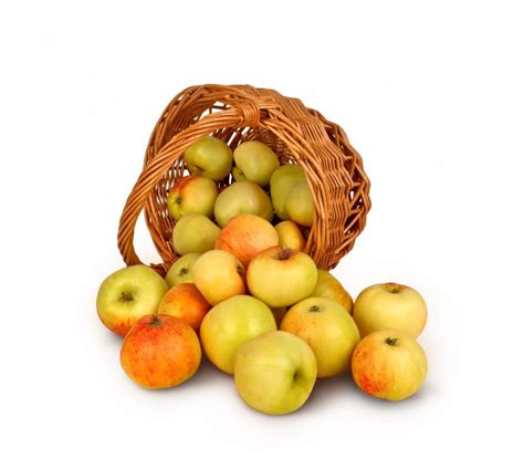 Green Apple Fruit Lot Free Image Peakpx