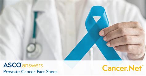 Asco Answers Fact Sheets Cancer Net