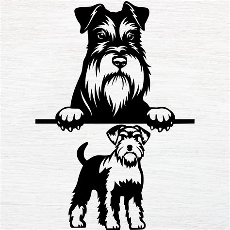 Schnauzer Miniature Schnauzer Svg Schnauzer Silhouette Etsy