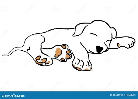 Sleeping Puppy Stock Illustrations 4210 Sleeping Puppy Stock
