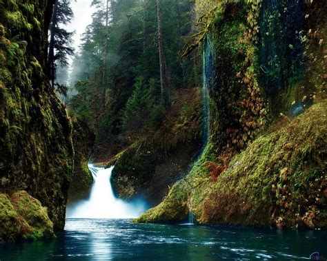 Punch Bowl Falls In Oregon Oregon Trees Waterfall Nature Forest