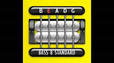 Perfect Guitar Tuner Bass 5 String B Standard B E A D G Youtube
