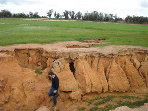 Repairing gully erosion | Agriculture and Food