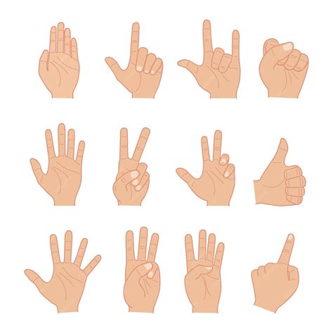 Premium Vector Hand Gestures And Sign Vector Flat Design Illustration