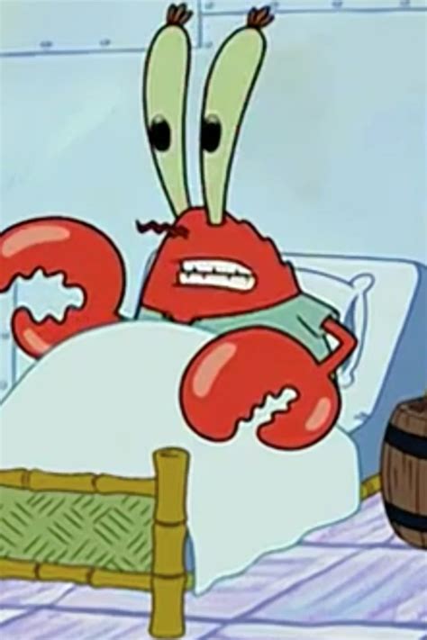 Born Again Krabs I Had An Accident Pictures Rotten Tomatoes