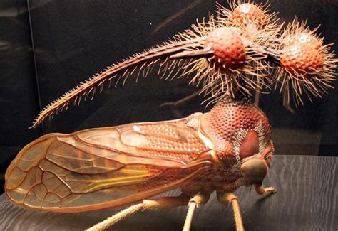 Los 9 Insectos Más Bellos Y Glamorosos Del Mundo Animal Via Ritmo