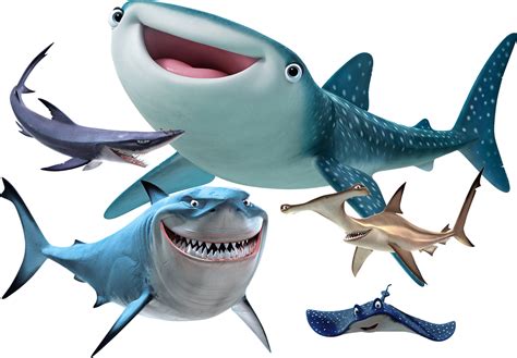 Is The Name Of The Hammerhead Shark In Finding Nemo Celebrity Wiki