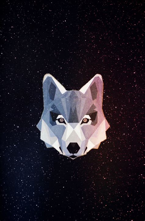 Cosmic Wolf Wallpapers Top Free Cosmic Wolf Backgrounds Wallpaperaccess