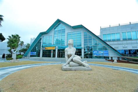 Korea Jeju Museum Of Sex And Health Ticket Kkday