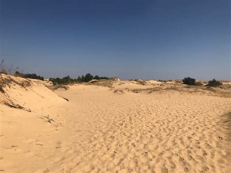 Oleshky Sands 2020 All You Need To Know Before You Go With Photos