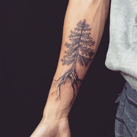 Pine Tree Tattoos Pinteres