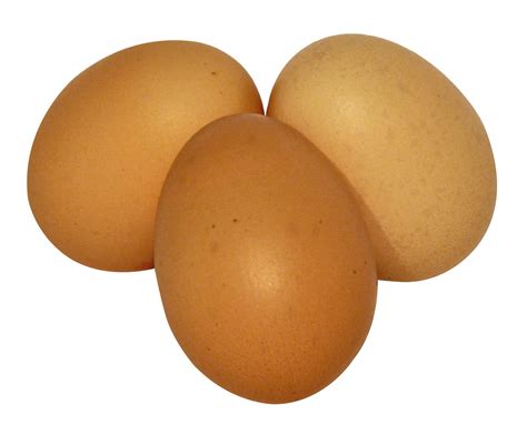 Eggs Png Transparent Image Download Size 1650x1365px