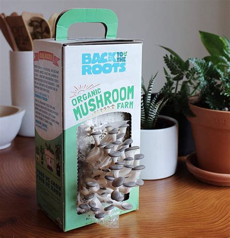 How To Grow Mushrooms With Log Kits Shiitake Oyster Apartment Therapy