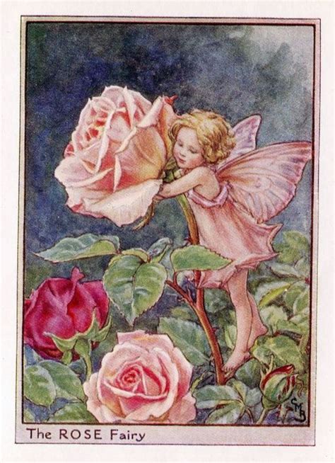 Rose Flower Fairy Vintage Print C1950 Cicely Mary Barker Etsy