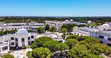 Die Universität der Algarve erreicht mit 97 % besetzten Studienplätzen ...