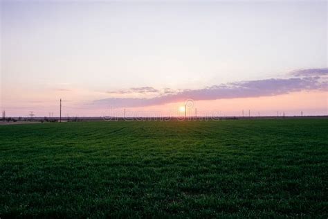 Dark Green Grass Field Landscape Sunset Sun Light Dusk Stock Photo