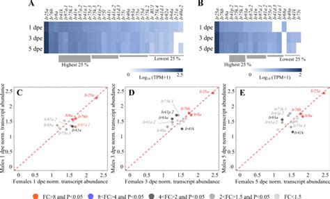 Sex And Age Modulate Antennal Chemosensory Related Genes Linked To The