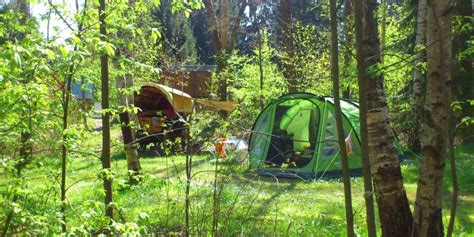 Naturnahe Waldcampingpl Tze In Deutschland Campingpl Tze Reisen