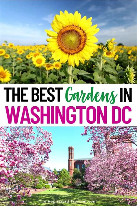 Washington Dc Things To Do In Summer Best Gardens Washington Dc Travel