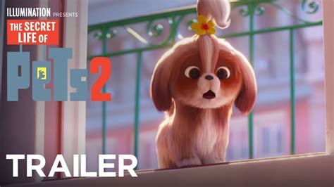 Sign in to see videos available to you. The Secret Life Of Pets 2 - The Daisy Trailer HD - YouTube