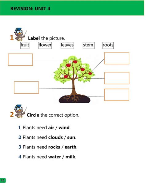 What Plants Need And Parts Of The Plant Interactive Worksheet
