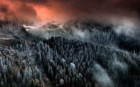 Nature Landscape Mountain Forest Clouds Mist Snow Trees Sunrise