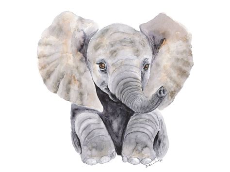 Elephant Nursery Watercolor Watercolour Nursery Prints Elephant