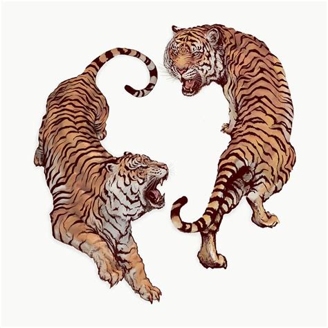 Hand Drawn Roaring Tiger Illustrations Premium Psd Illustration