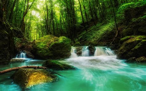 Body Of Water And Forest Landscape Nature Waterfall Forest Hd Wallpaper Wallpaper Flare