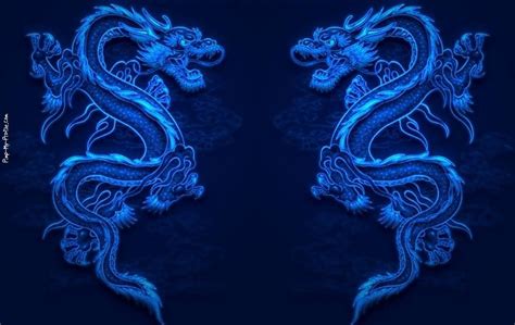 Blue Chinese Dragon Pair Facebook Timeline Cover Backgrounds Pimp My