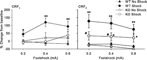 Potentiated Startle Induced By Footshock In Crf1 And Crf2 Null Mutation Download Scientific