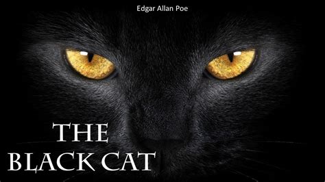 Learn English Through Story The Black Cat By Edgar Allan Poe Youtube