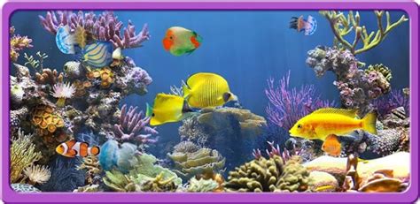 50 3d Aquarium Wallpaper Wallpapersafari