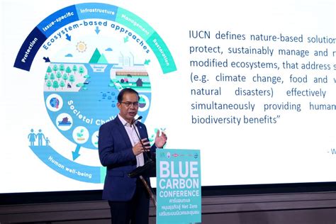 Partners In Blue Carbon Conservation Team Up For The Blue Carbon