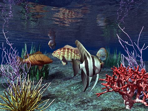 Real Wallpapers 3d Fish Wallpaper