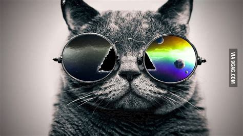 Hipster Cat 9gag