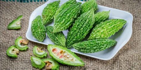 Because of an unpleasant taste and extreme bitterness, bitter gourd (karela) has gained a negative reputation among people. Bitter Gourd Benefits: गुणों का खजाना है करेला, दिलाता है ...