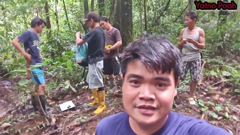 Proses Pengukuran Tanah Secara Manual Di Hutan Kalimantan Youtube