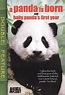 Panda is Born - A Baby Pandas First Year (DVD, 2010) for sale online | eBay