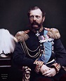 Tsar Alexander II of Russia 1878 | Russian history, Imperial russia, Russia